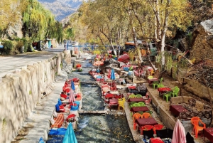 Marrakesh: Atlas Mountains, Ourika Valley, Waterfall / Guide