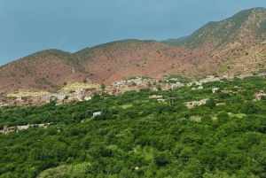 Marrakesh: Atlas Mountains, Ourika Valley, Waterfall / Guide