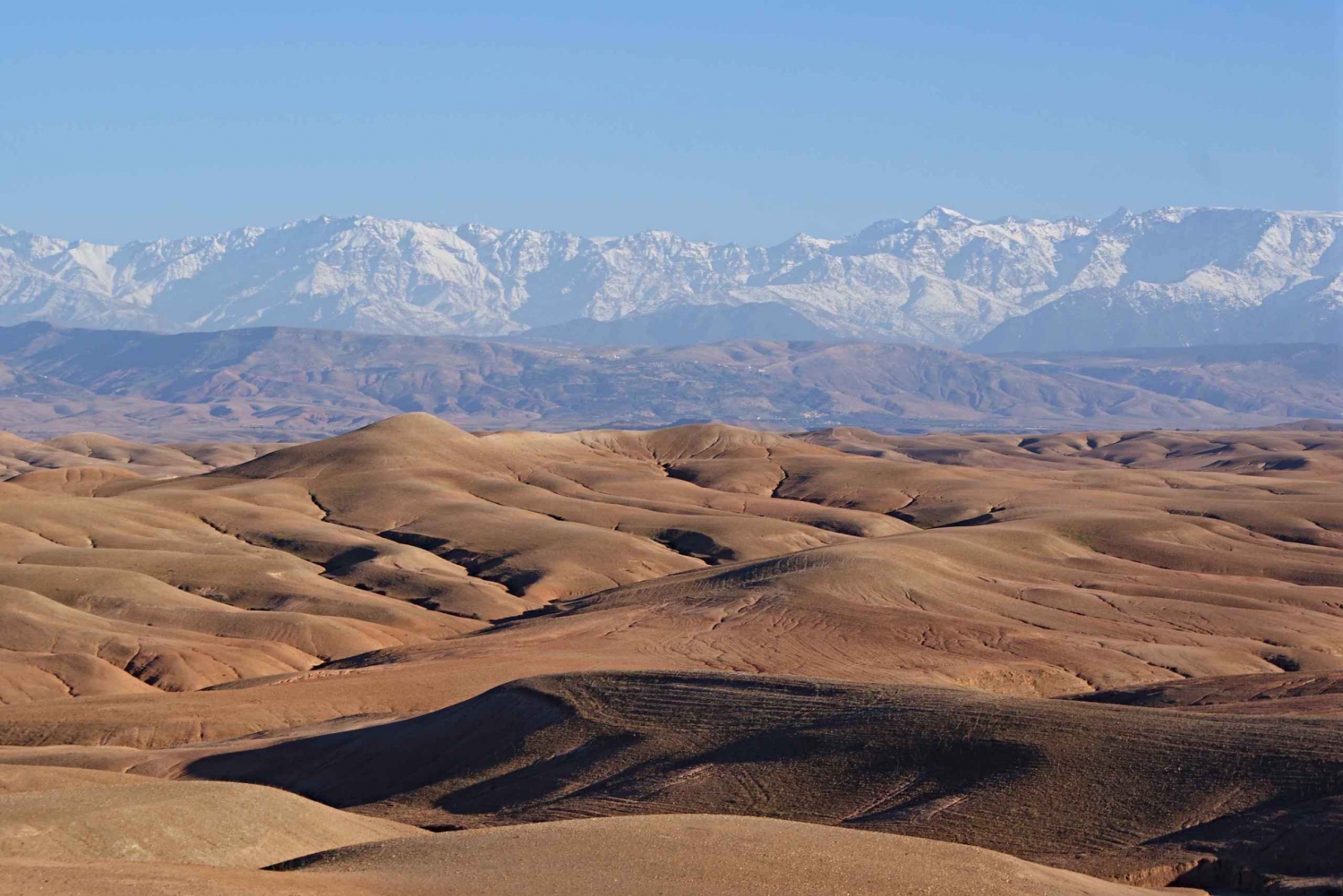 Прогулка на закате и верблюдах и роскошный ужин с огненным шоу