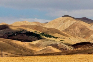 Marrakesh: Full-Day Desert and Mountain Tour with Camel Ride