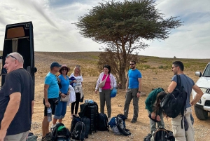 Desde Marrakech: safari de 3 días por el desierto de Merzouga con comidas