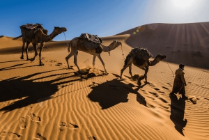 Merzouga Desert: 3-Day Desert Tour from Marrakech
