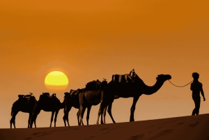 Merzouga Desert: 3-Day Desert Tour from Marrakech