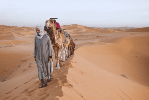 Merzouga Desert: 3-Day Desert Tour from Marrakech