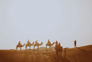 Merzouga Desert: 3-Day Desert Tour from Marrakech