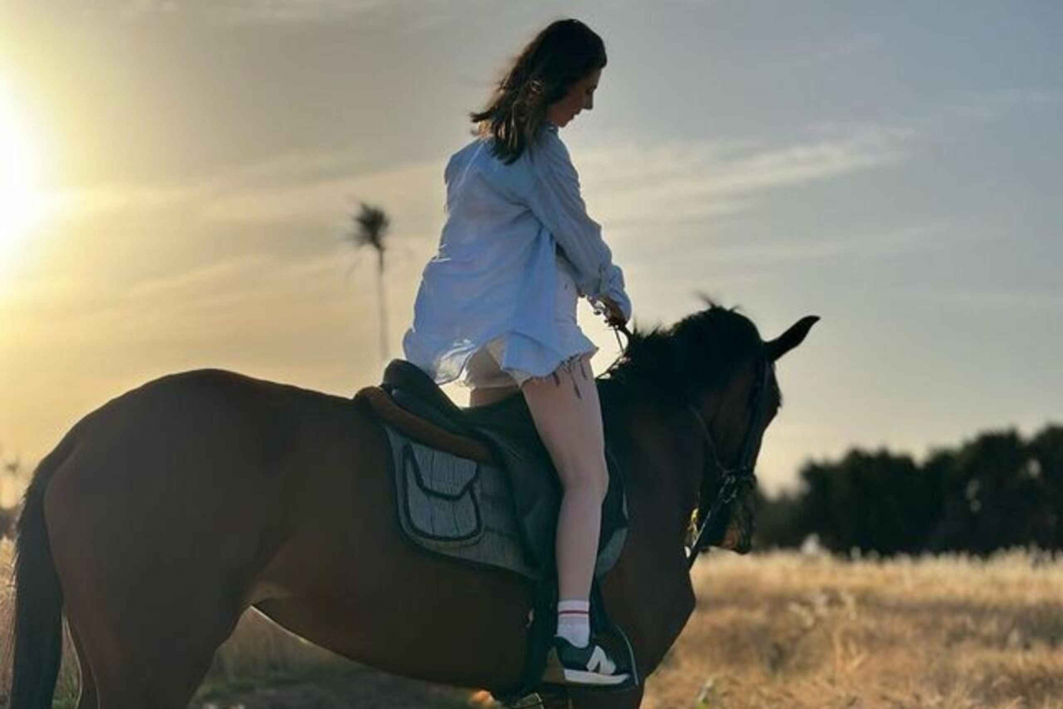 Марракеш: частная конная экскурсия в пальмовую рощу с чаем