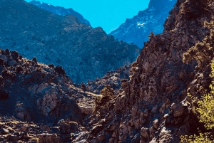Vallée de l'Ourika : Aventure en quad, balade à dos de chameau et randonnée pédestre