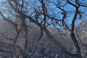 Vallée de l'Ourika : Aventure en quad, balade à dos de chameau et randonnée pédestre