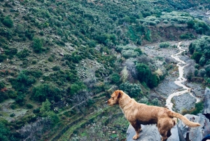 Vallée de l'Ourika : Aventure en quad, balade à dos de chameau et randonnée pédestre