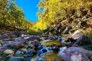 Vallée de l'Ourika : Aventure en quad, balade à dos de chameau et randonnée pédestre