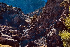 Vallée de l'Ourika : Aventure en quad, balade à dos de chameau et randonnée pédestre