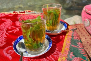 Vallée de l'Ourika : Aventure en quad, balade à dos de chameau et randonnée pédestre