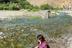 Vallée de l'Ourika : Aventure en quad, balade à dos de chameau et randonnée pédestre