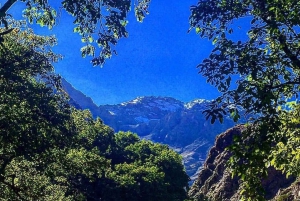 Vallée de l'Ourika : Aventure en quad, balade à dos de chameau et randonnée pédestre
