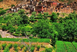 Vallée de l'Ourika : Aventure en quad, balade à dos de chameau et randonnée pédestre