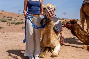 Vallée de l'Ourika : Aventure en quad, balade à dos de chameau et randonnée pédestre
