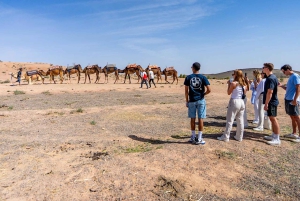 Vallée de l'Ourika : Aventure en quad, balade à dos de chameau et randonnée pédestre