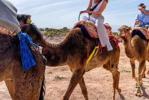 Vallée de l'Ourika : Aventure en quad, balade à dos de chameau et randonnée pédestre