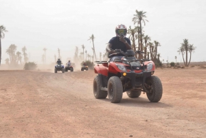 Marrakesh: ZFORCE-buggyeventyr i Marrakesh Palmeraie