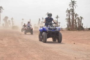 Marrakesh: ZFORCE-buggyeventyr i Marrakesh Palmeraie