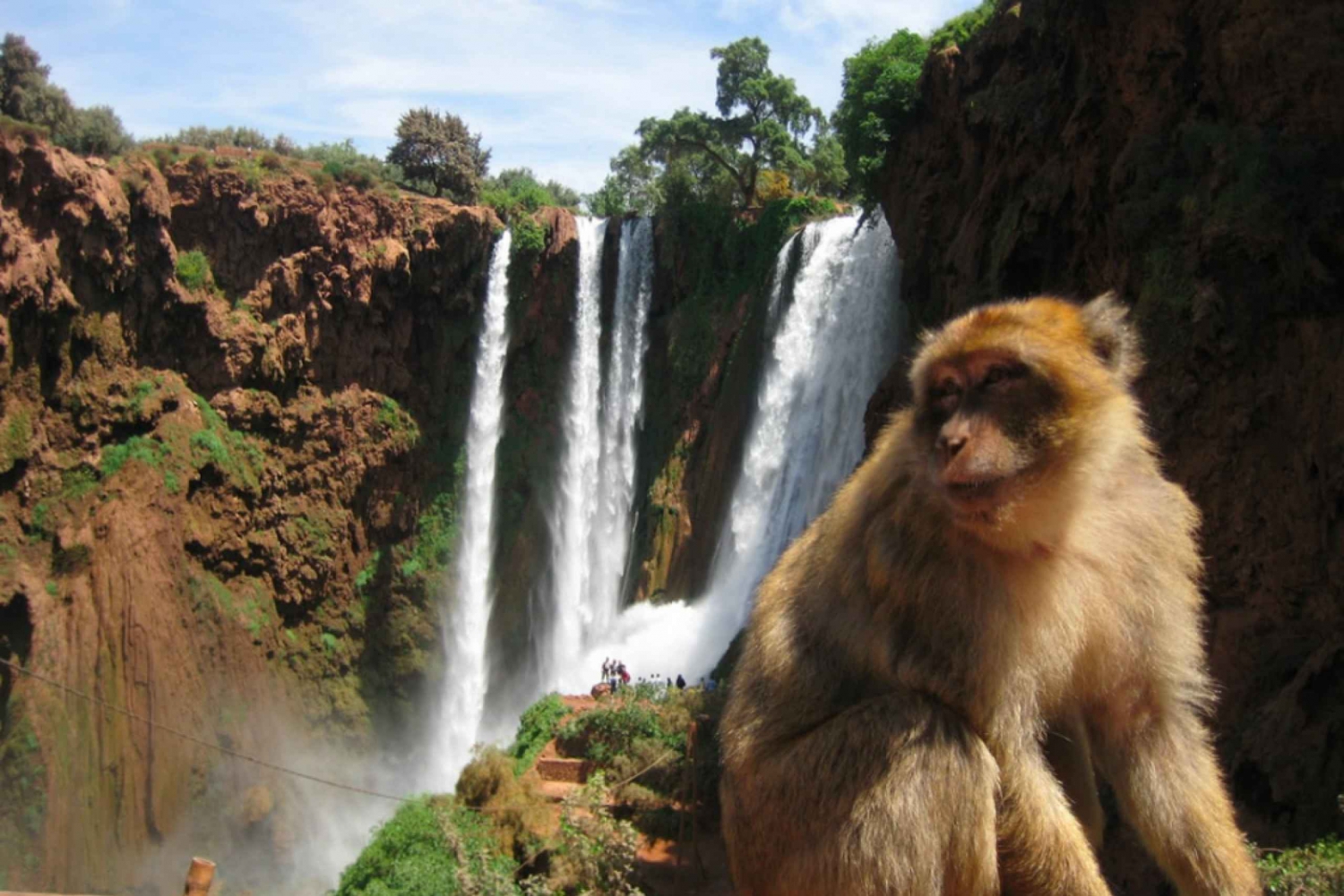 From Marrakech: Ouzoud Waterfalls Local Guided and Boat Ride