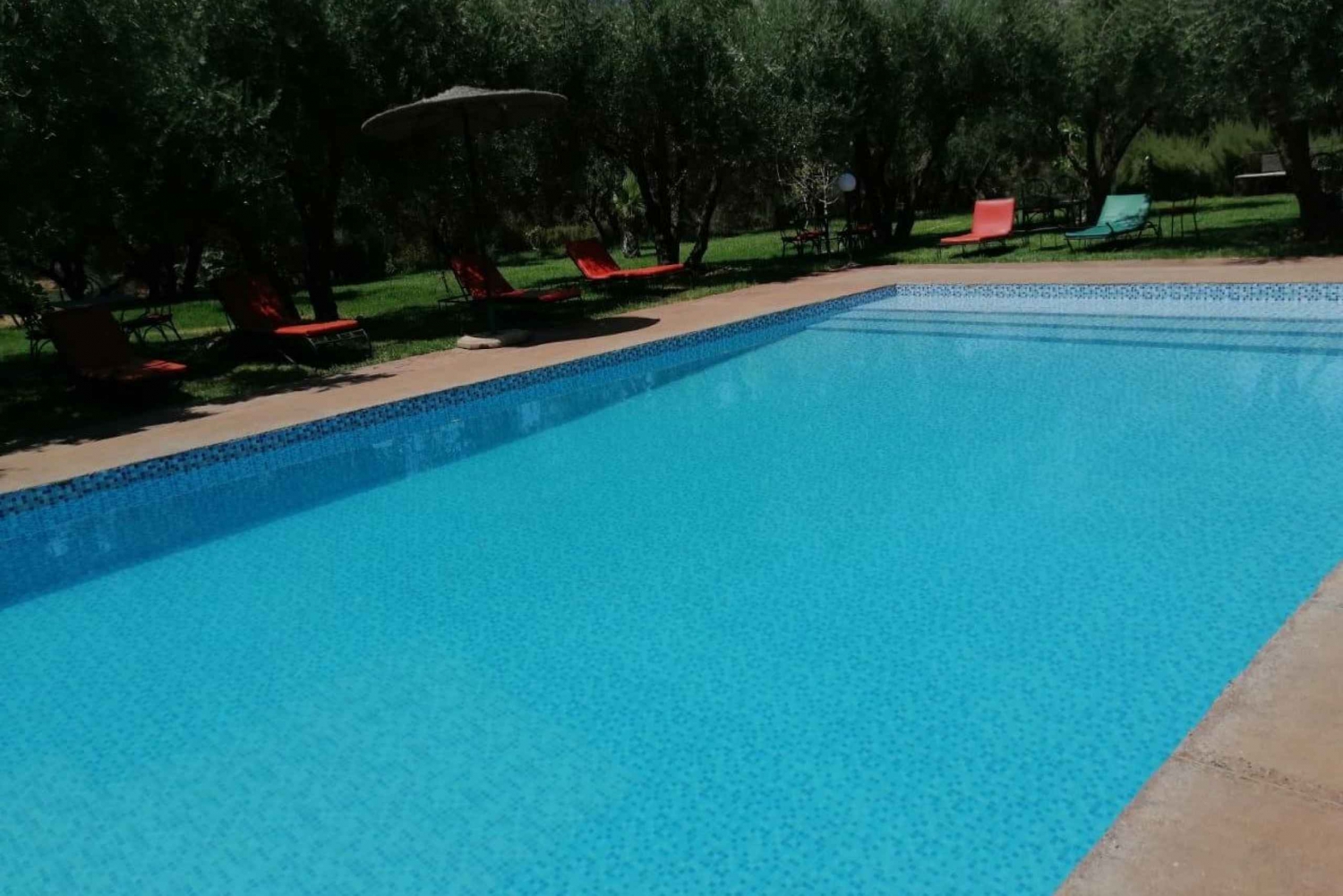 Marrakech: cascate della valle dell'Ourika, pranzo ed escursione guidata