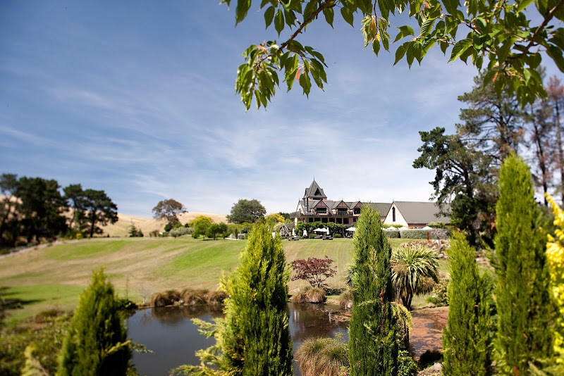 Pegasus Winery, Viinitila ja Deli