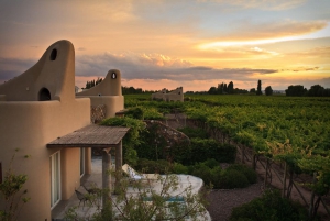 Wine, a tradition at the Argentinean table