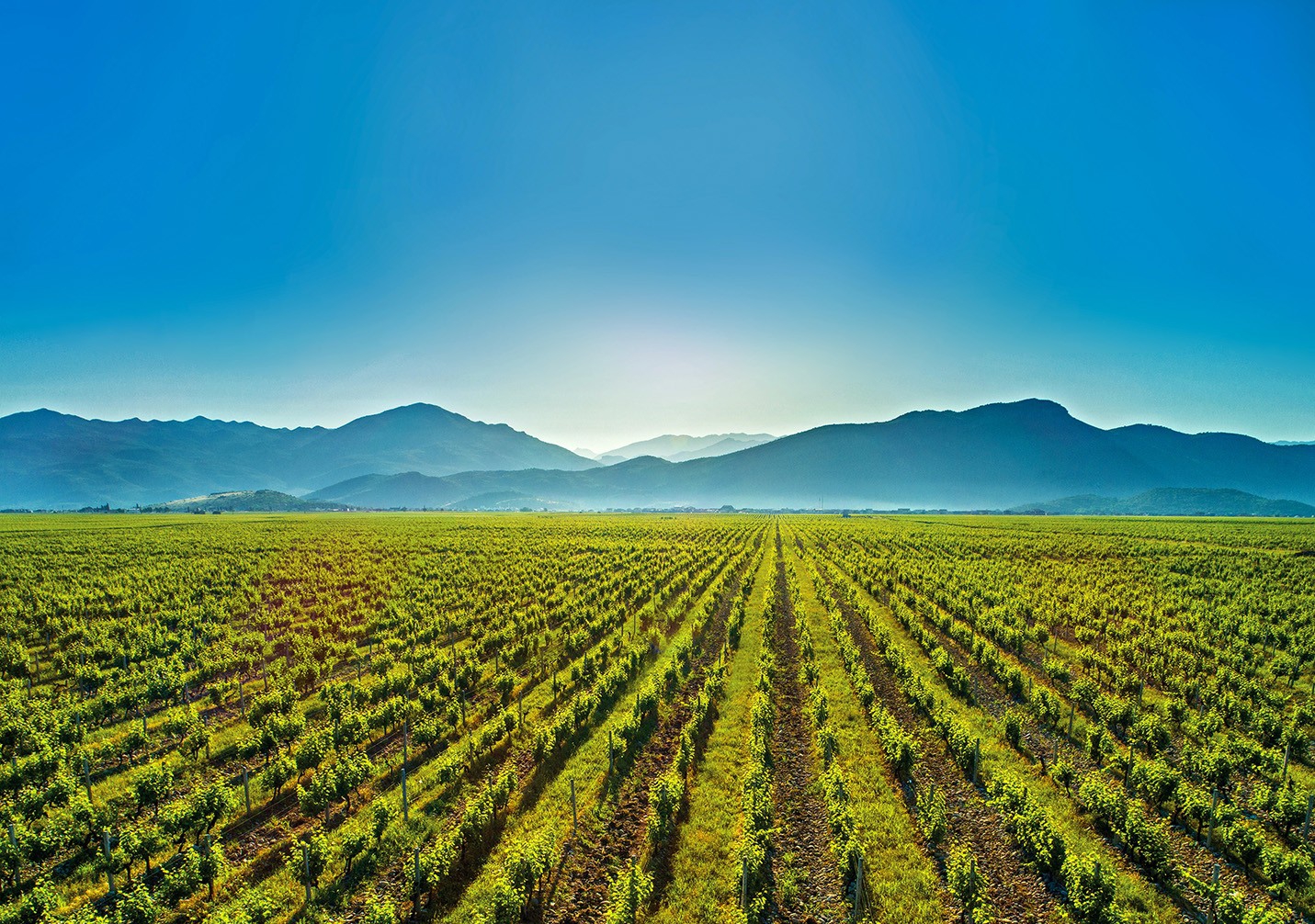 The Few Plains in Mountainous Montenegro