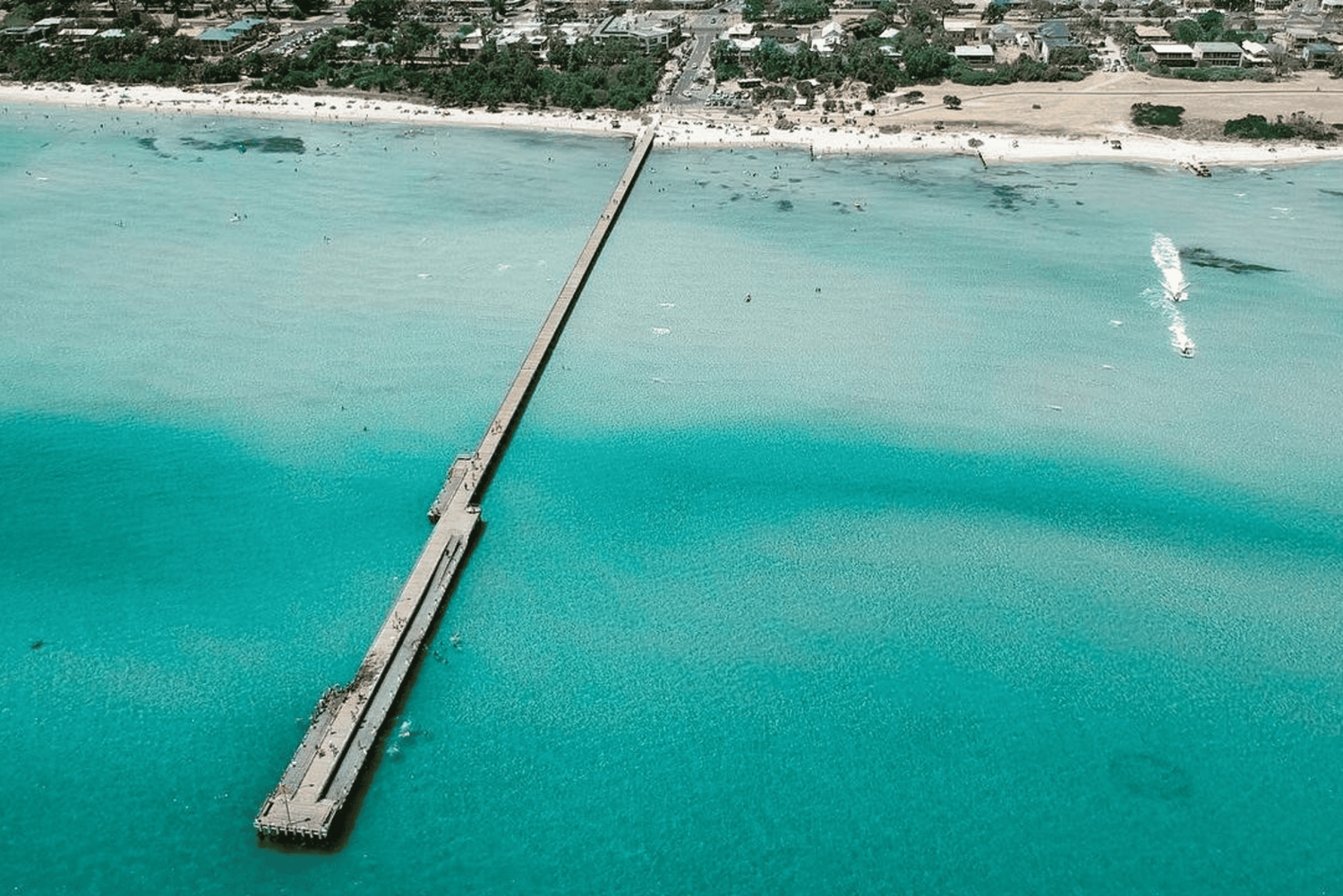 Melbourne: Excursão à Península Mornington e ao Santuário ao Luar