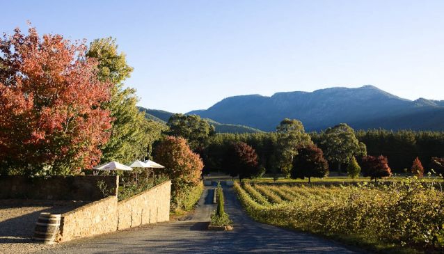 Boynton's Feathertop Winery