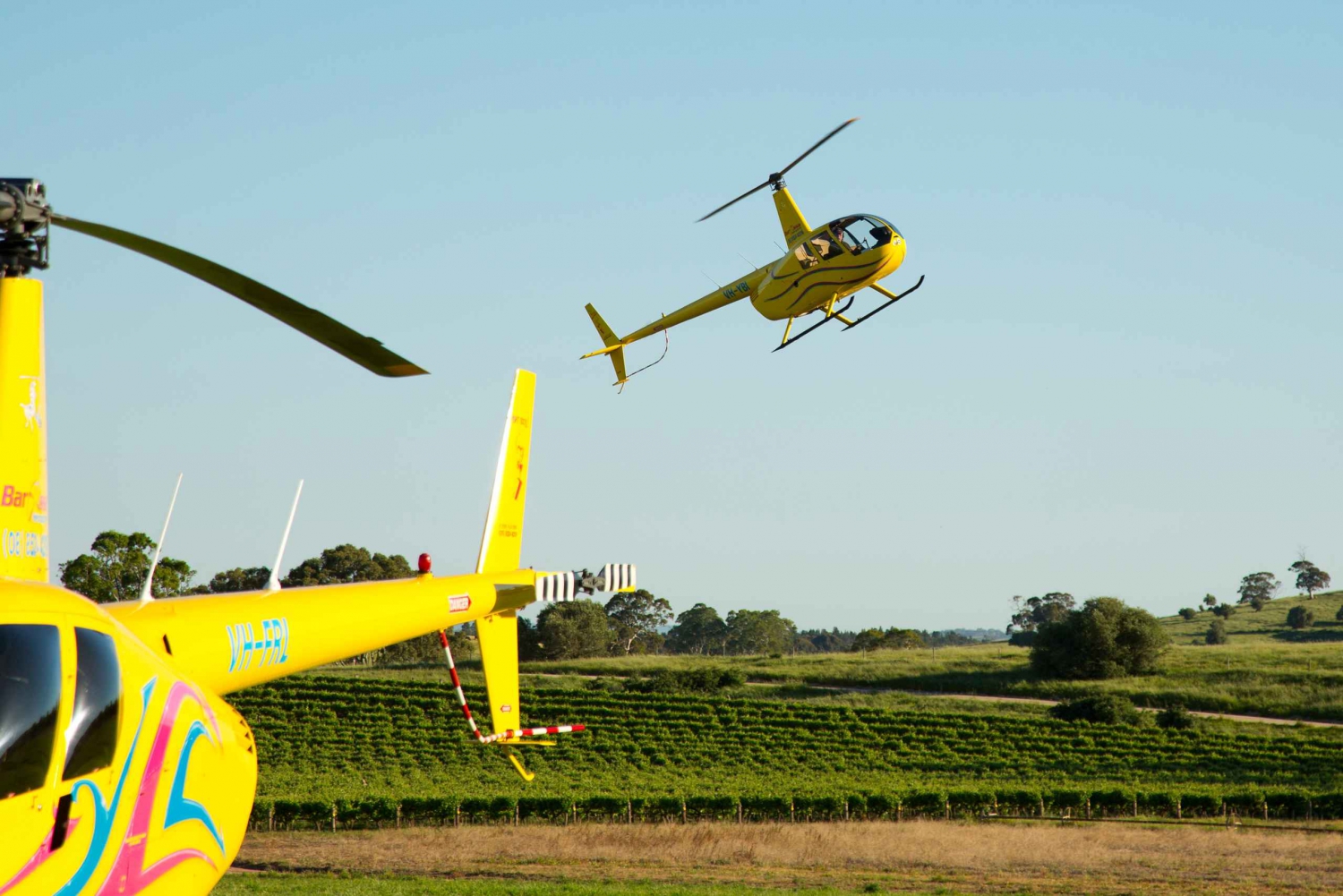 Från Lyndoch: 15-minuters helikopterflygning i Barossa Valley