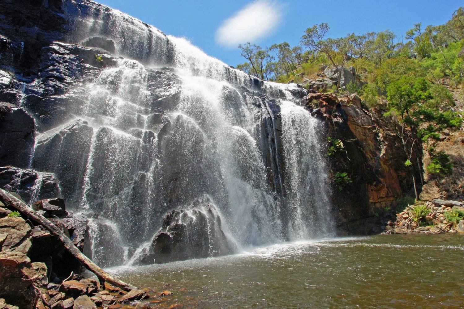 Grampians National Park: Øko-dagstur i lille gruppe