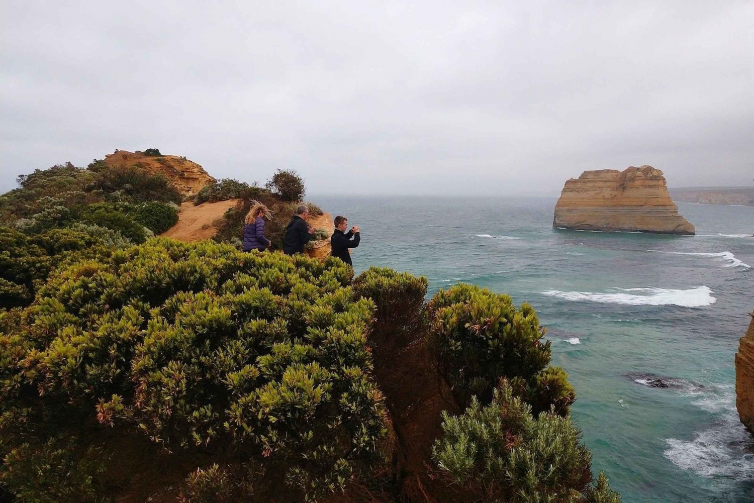 Fra Melbourne: Great Ocean Road dagstur med middag