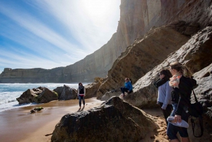 From Melbourne: Great Ocean Road Full-Day Trip