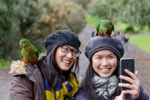 From Melbourne: Great Ocean Road Full-Day Trip