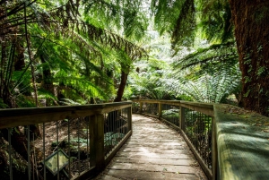 From Melbourne: Great Ocean Road Full-Day Trip