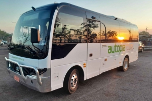 From Melbourne: Great Ocean Road & Rainforest Full-Day Trip