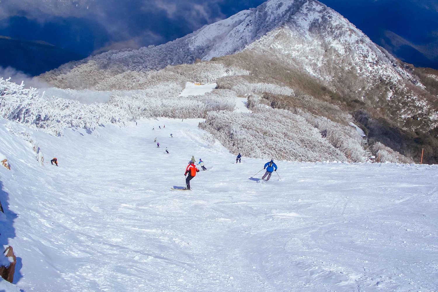 Von Melbourne aus: Mt Buller Scenic Snow Getaway Day Tour