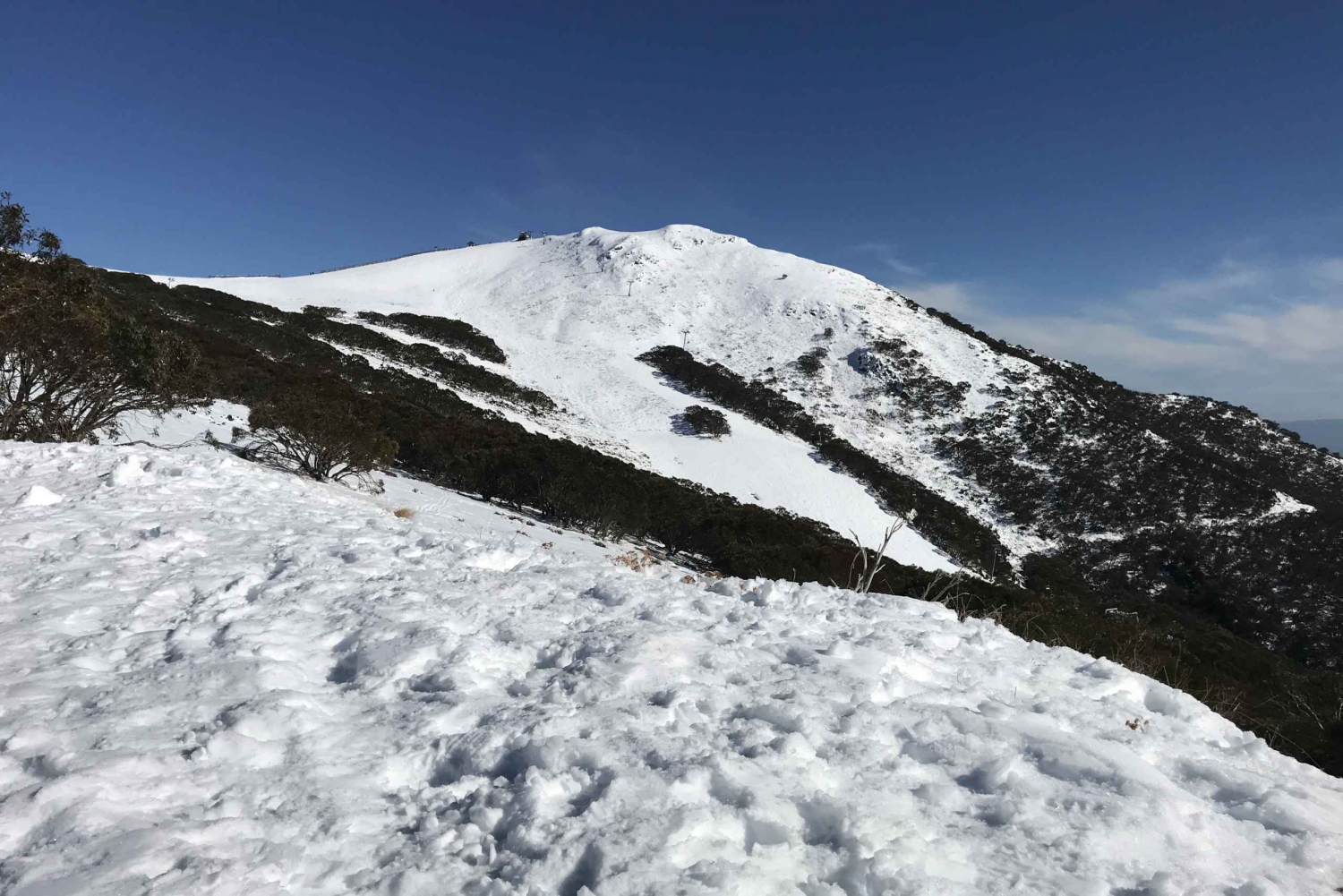 Melbournesta: Mt Buller Snow Day Small Group Boutique Tour