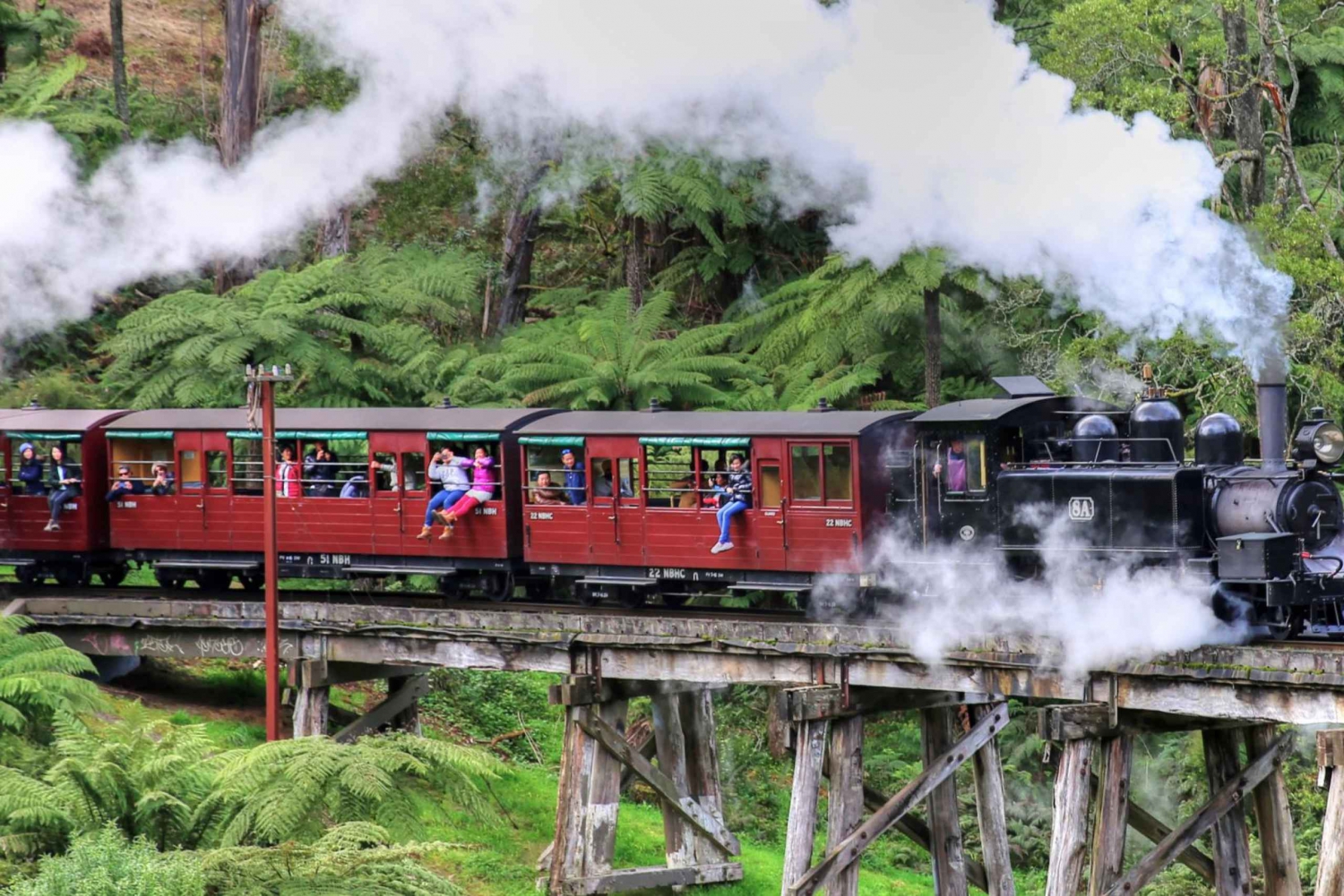 Z Melbourne: Puffing Billy i Penguin Parade Combo Tour