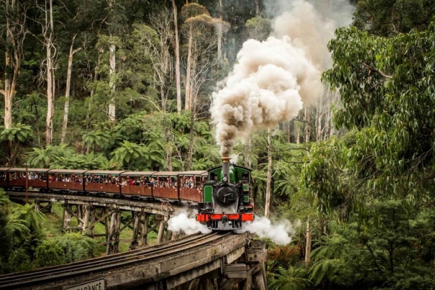 Da Melbourne: Pacchetto tour combinato Puffing Billy e Pinguini