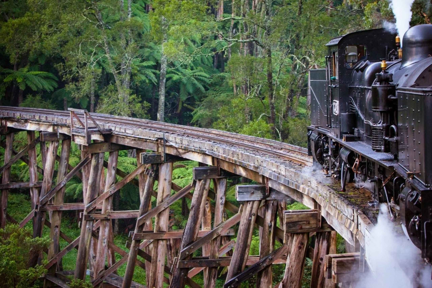 Melbourne: Privat tur med Puffing Billy Steam Train