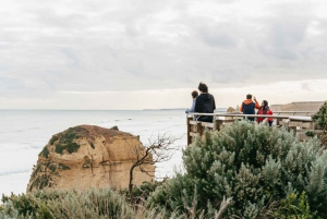 Из Мельбурна: однодневная поездка небольшой группой по Великой океанской дороге