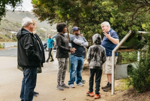 Из Мельбурна: однодневная поездка небольшой группой по Великой океанской дороге