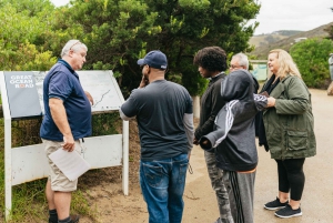 Из Мельбурна: однодневная поездка небольшой группой по Великой океанской дороге