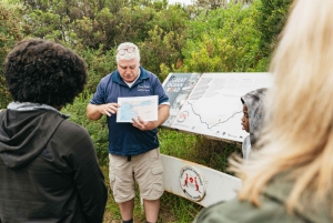 Из Мельбурна: однодневная поездка небольшой группой по Великой океанской дороге