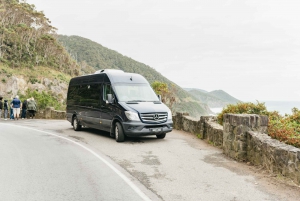 Из Мельбурна: однодневная поездка небольшой группой по Великой океанской дороге