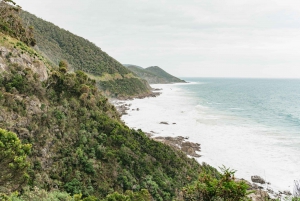 Из Мельбурна: однодневная поездка небольшой группой по Великой океанской дороге