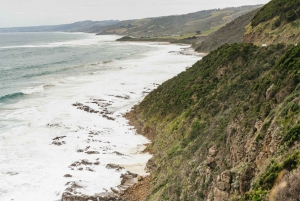 Из Мельбурна: однодневная поездка небольшой группой по Великой океанской дороге